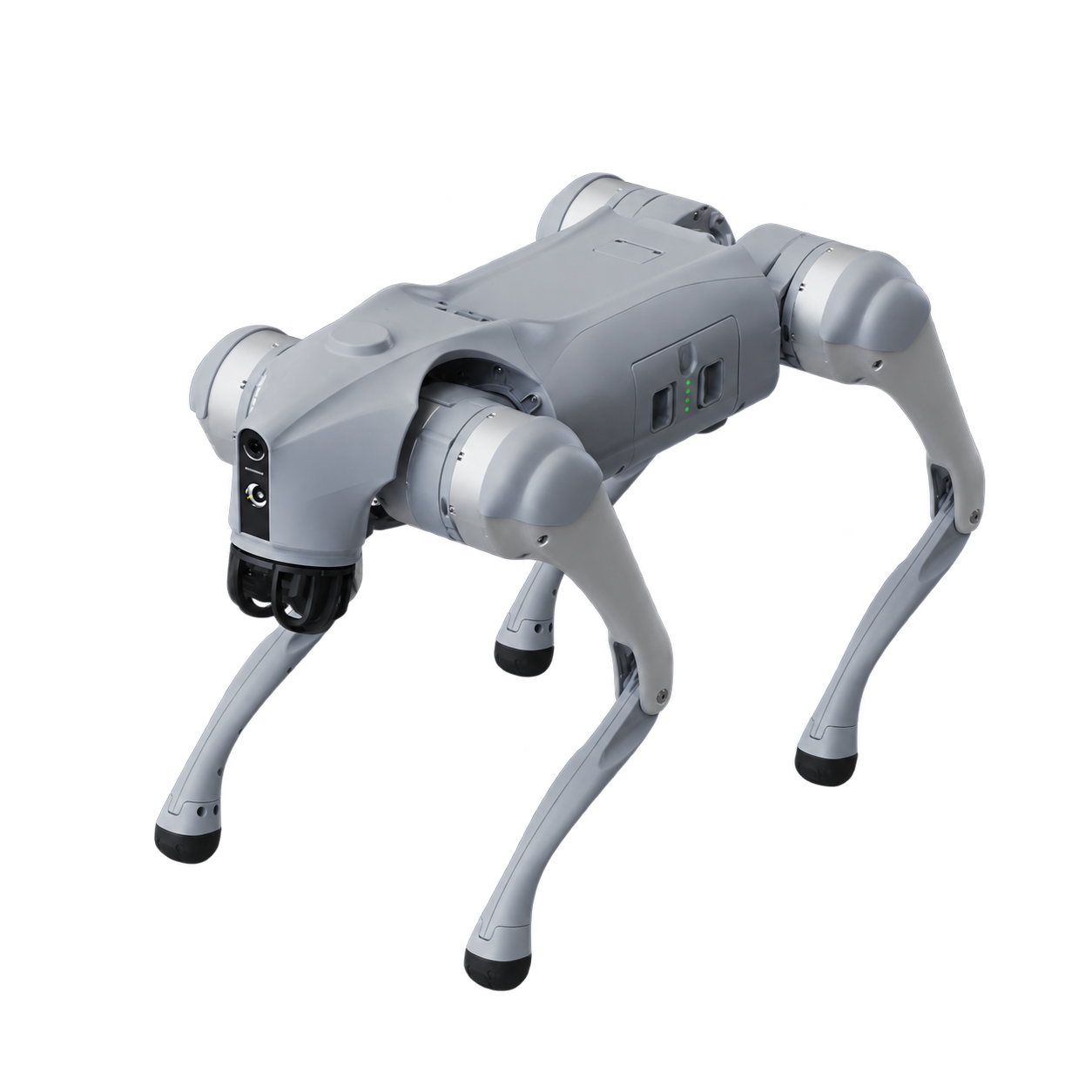 Shadow, our robot dog
